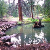 Rush Creek 150