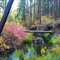 Rush Creek 150 images 2