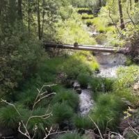 Rush Creek 150 images 4