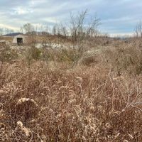 Pleasant View Smock Rd. Fayette County - 10 acres images 4