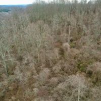Pleasant View Smock Rd. Fayette County - 10 acres images 5