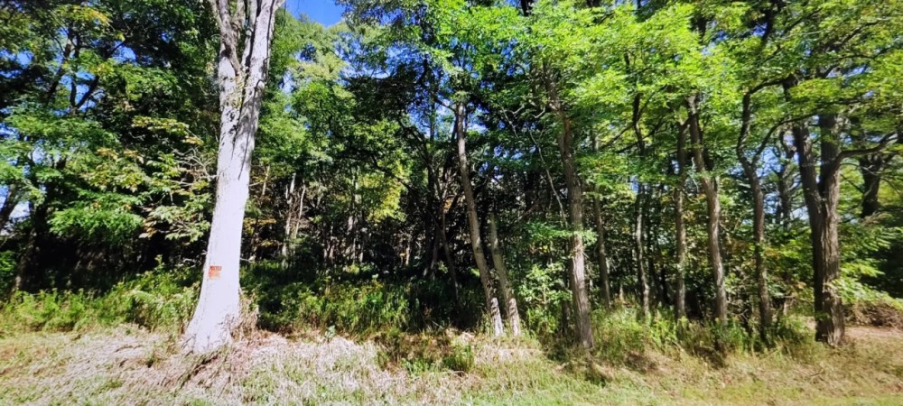 12.6 acre Land for Sale with Power Richland NY featured image
