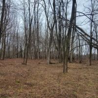 12.6 acre Land for Sale with Power Richland NY images 2