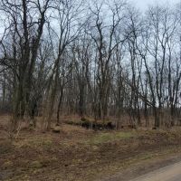 12.6 acre Land for Sale with Power Richland NY images 3
