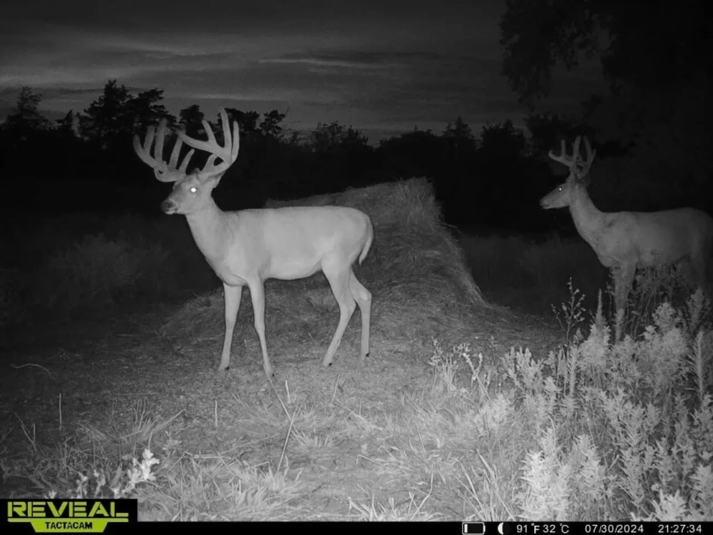 The 180 Ranch featured image
