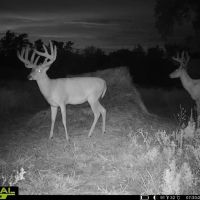 The 180 Ranch