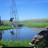 The 180 Ranch images 4