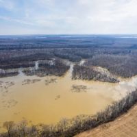 White River 150 images 4