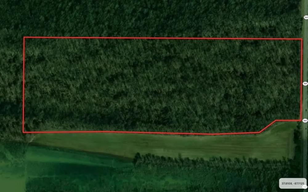 Land For Sale in Spencer County 60 Acres - featured image