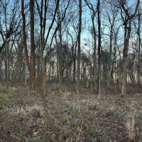 Land For Sale in Spencer County 60 Acres - images 4