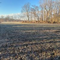 Land For Sale in Spencer County 60 Acres - images 5
