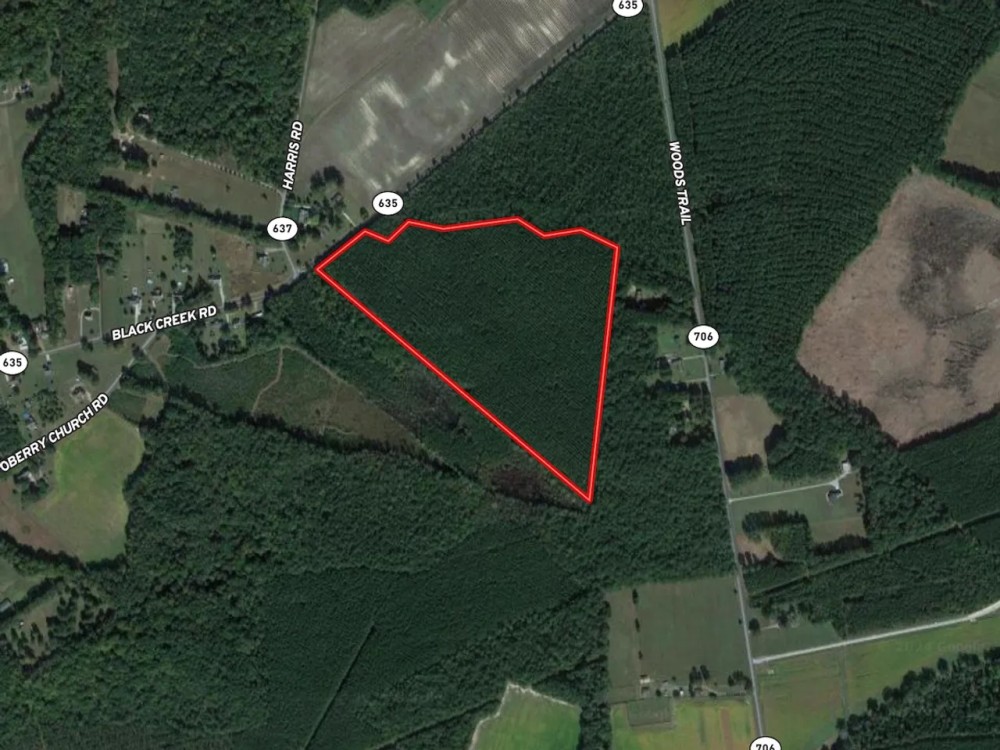 37 acres of Timber Land for Sale in Southampton County VA featured image