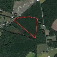 37 acres of Timber Land for Sale in Southampton County VA