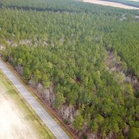37 acres of Timber Land for Sale in Southampton County VA images 2