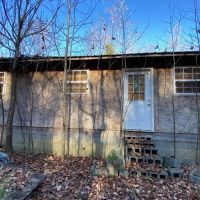 31 Acres with Cabin - Great Hunting Property images 4