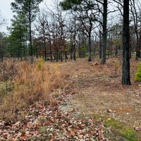 Recreational 28.5 Acres Stringtown OK images 3
