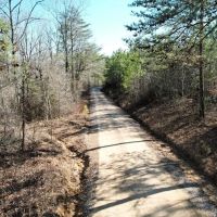 195 Acres Adjoining Bankhead National Forest images 4