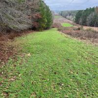 120 Acres in Jefferson County MS
