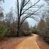 120 Acres in Jefferson County MS images 3