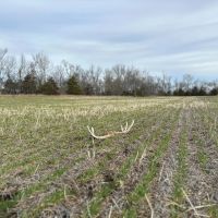 160 Acre Kansas Tract with Hunting and Tillable Ground for Sale Bourbon County