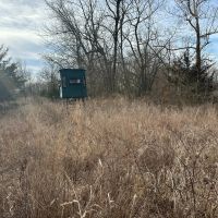 160 Acre Kansas Tract with Hunting and Tillable Ground for Sale Bourbon County images 4