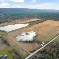 BowFin Ranch - Abundant in Water with Kiamichi Mountain Views