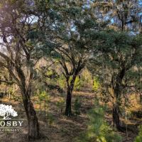 Gruber South images 5