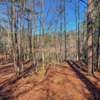 77.6 Acres in Schley County Georgia images 3