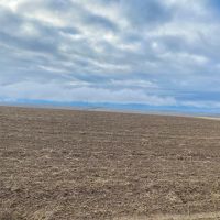 Hard to find Dryland Property w 1500 ft. Drilled Well… images 4
