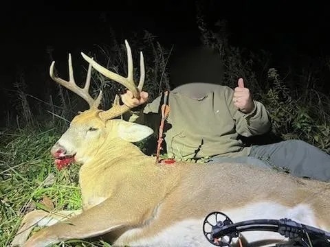 138 Acres in Wayne County featured image