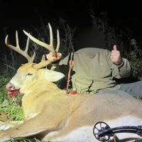 138 Acres in Wayne County