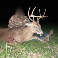 138 Acres in Wayne County images 2