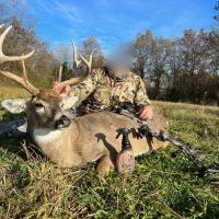138 Acres in Wayne County images 3