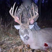 138 Acres in Wayne County images 4