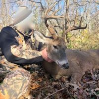 138 Acres in Wayne County images 5