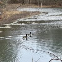 103 Acres In McDdonald County Missouri images 5