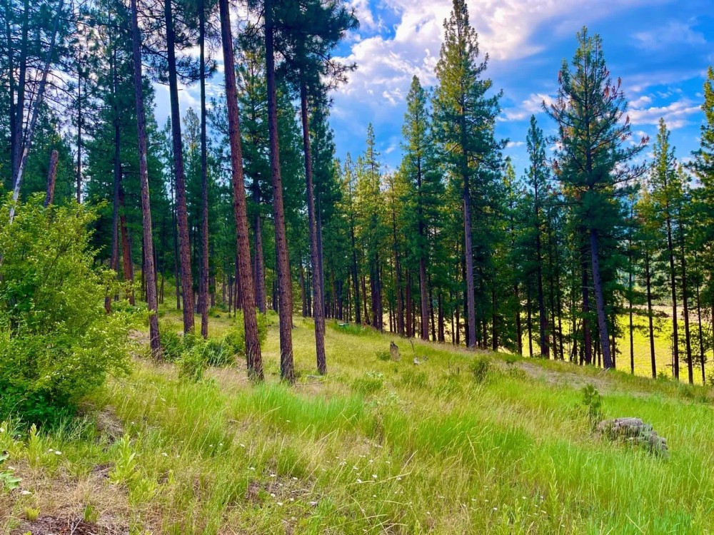 Amazing Alberton Acreage featured image
