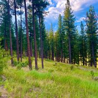 Amazing Alberton Acreage