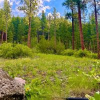 Amazing Alberton Acreage images 2