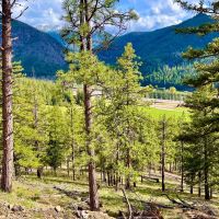Amazing Alberton Acreage images 3