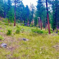 Amazing Alberton Acreage images 4