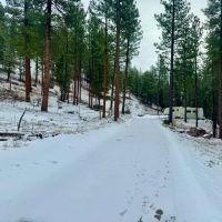 Amazing Alberton Acreage images 5