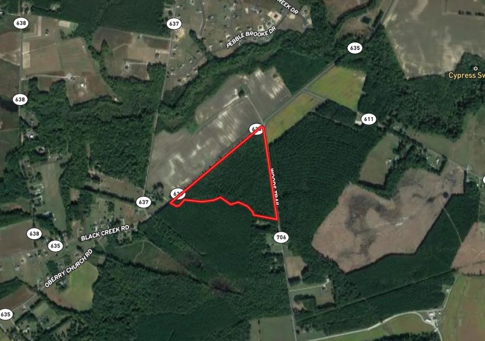 36 acres of Timber Land for Sale in Southampton County VA featured image