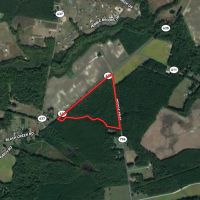 36 acres of Timber Land for Sale in Southampton County VA
