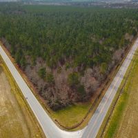36 acres of Timber Land for Sale in Southampton County VA images 2