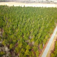 36 acres of Timber Land for Sale in Southampton County VA images 3