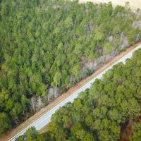 36 acres of Timber Land for Sale in Southampton County VA images 4