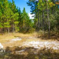 Treadwell images 3