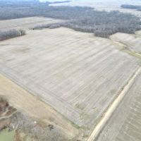 Rare income producing tillable piece in Clinton Co images 2