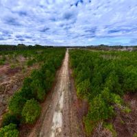 47.18 acres of Recreational Hunting Land For Sale in Craven County NC images 5